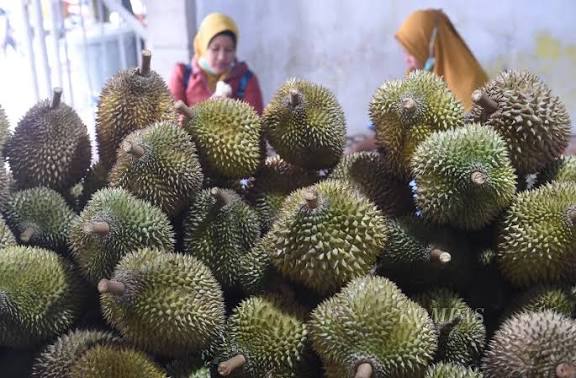 usaha-gampong-gajah-mate-1787822128582768073