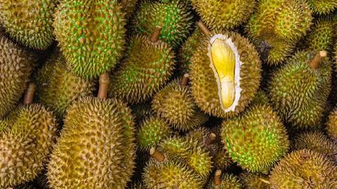 durian duri hitam